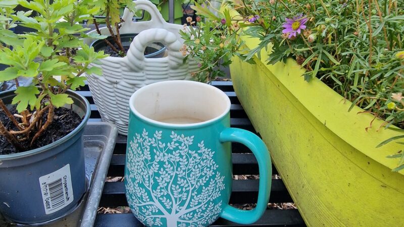Lieblings-Schreib-Gadgets: Von der Kaffeetasse bis zum Kurzzeitwecker