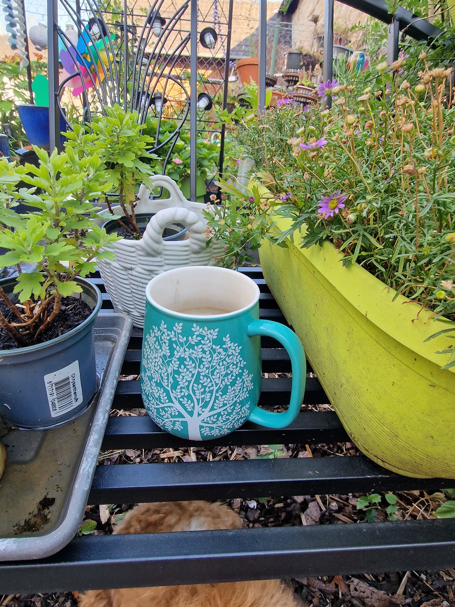 Lieblings-Schreib-Gadgets: Von der Kaffeetasse bis zum Kurzzeitwecker